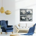 thumbnail image 3 of Wexford Home Beach Wall Décor Seashell Picture Prints Set of 4 Canvas Wall Art 16 x 16 inches Each Solid Wood Artwork for Cabin Home Office, 3 of 11