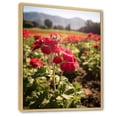 thumbnail image 2 of Designart "Photographic Field Of Geraniums I" Geraniums Floater Framed Canvas Wall Art, 2 of 5