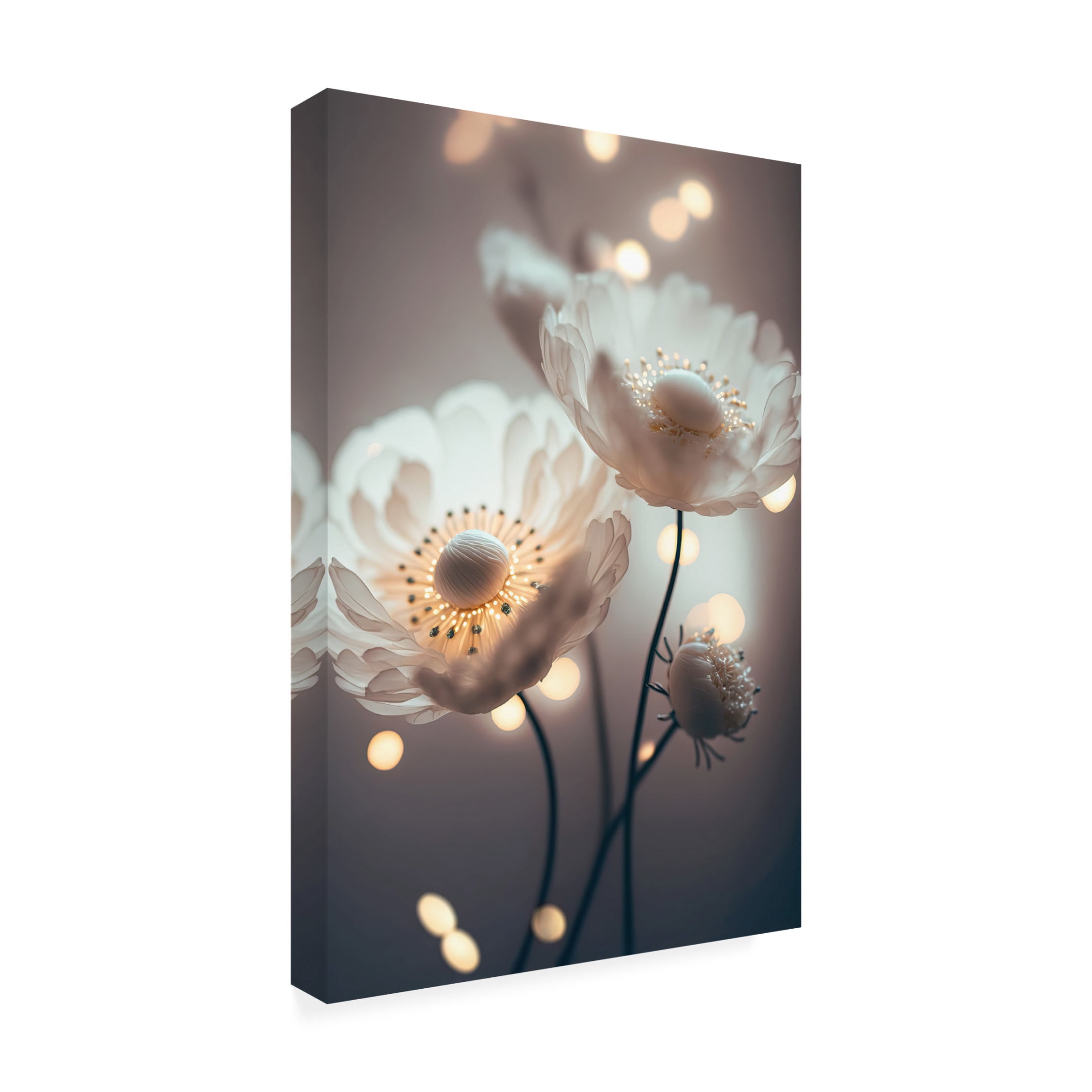 Canvas Wall Art - Treechild 'White Flowers And Bokeh' Wall Art for Living Room, Bedroom, or Office D?cor by Trademark Fine Art - 30 x 47 Inches