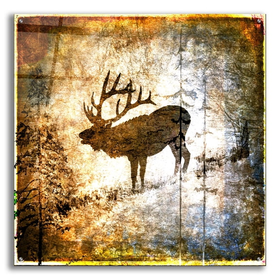 Epic Art 'High Country Elk' by Lightbox Journal, Acrylic Glass Wall Art, 36"x36"