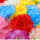 thumbnail image 5 of Xiao Hua 24 flores artificiales de clavel, flores falsas, flores artificiales para decoración de bodas, 5 of 5