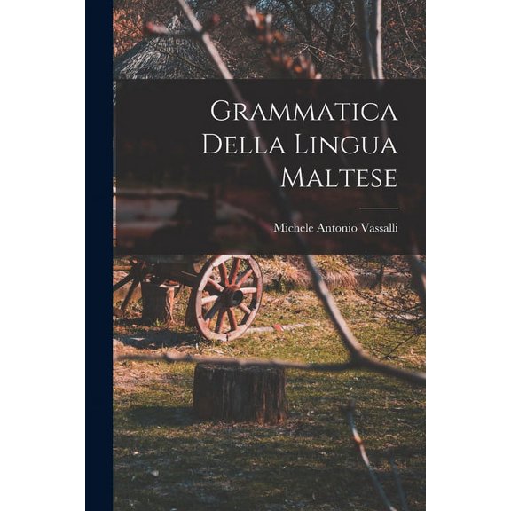 Grammatica Della Lingua Maltese (Paperback)