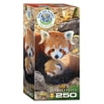 thumbnail image 1 of Puzzle EuroGraphics con pandas rojos, 250 piezas, 13 x 19 cm, 1 of 1