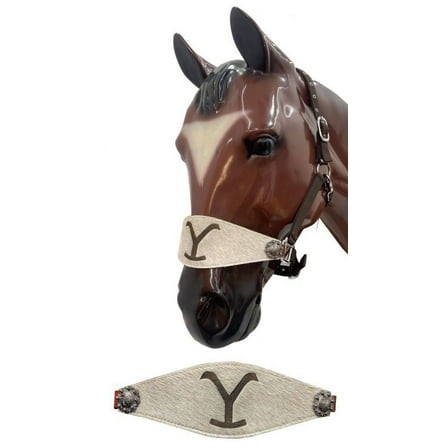 Showman Nylon Bronc Halter w/ Leather Cowhide "Y" Branded Noseband