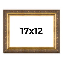 17x12 Frame Vintage Gold Solid Wood Picture Frame | 2.5 Inch Moulding Width | Ornate Bronze Museo