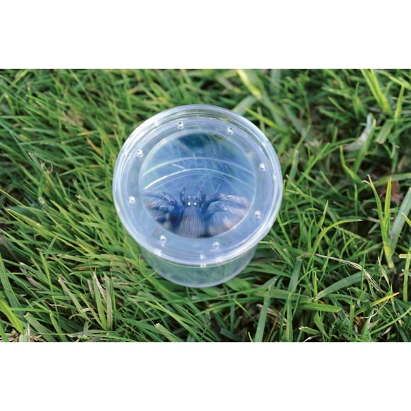 Educational Insights Geosafari Jr. Visionneuse de Bugs