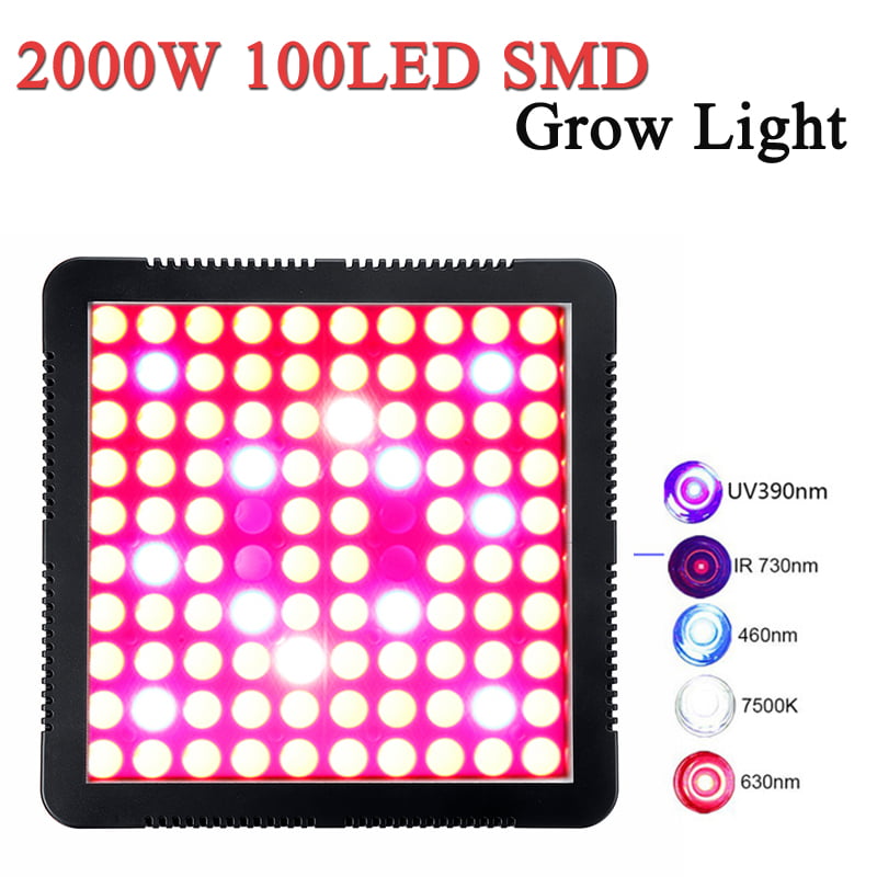 Details about   600W 1000W LED Grow Light Full Spectrum for Greenhouse and Indoor Plant Growing 