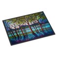 thumbnail image 1 of Carolines Treasures PPD3022MAT Tapis d'Intérieur Ou d'Extérieur Rivière Tanzanite de 18 x 27 Po, 1 of 4