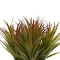 thumbnail image 5 of DecMode 9" Artificial Striped Stemmed Aloe Plant in Realistic Leaves and Ceramic Pot, 5 of 8