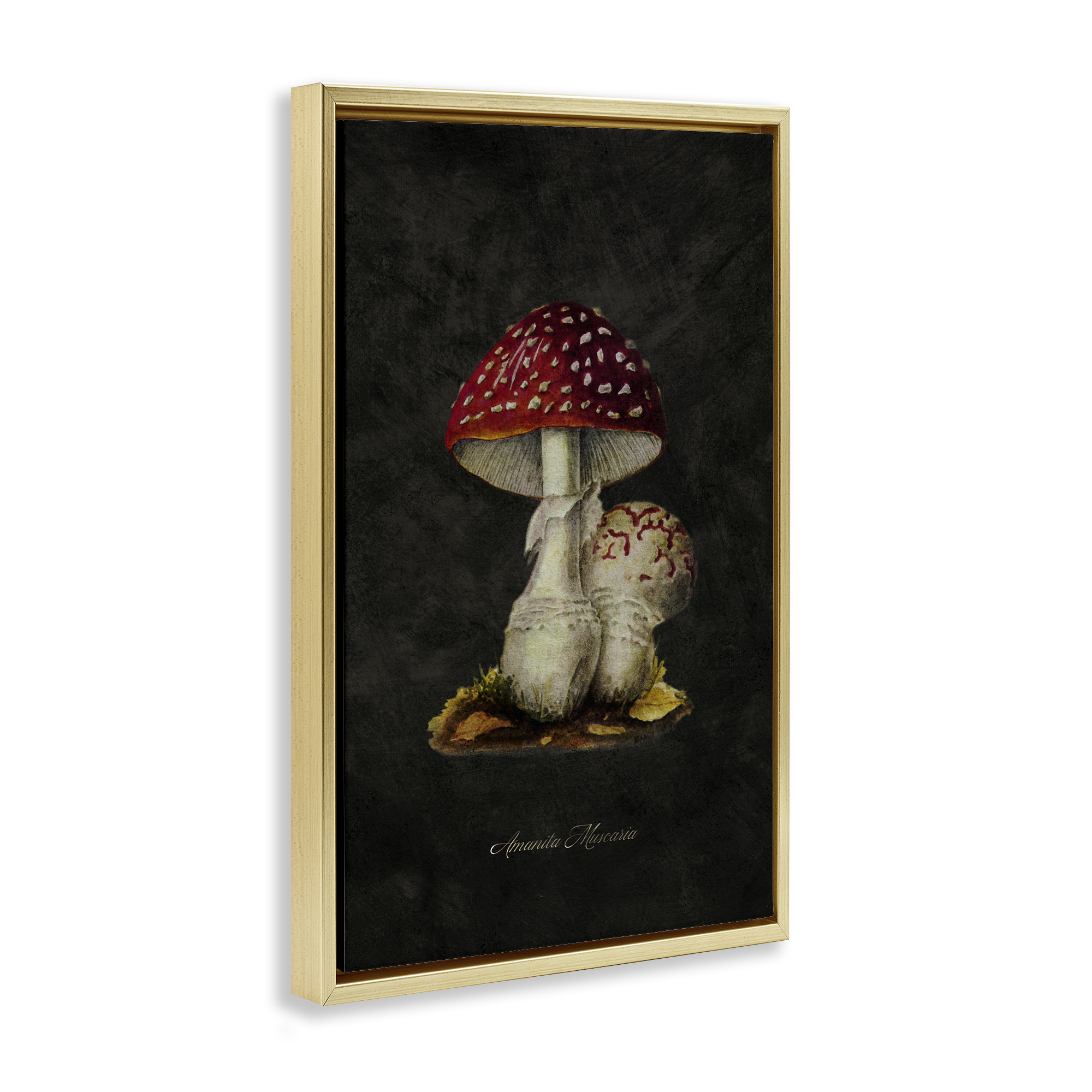 Stupell Industries Rustic Mushroom Pair Plants & Flowers Painting Gold Floater Framed Canvas Art Print Wall Art, 21 x 31