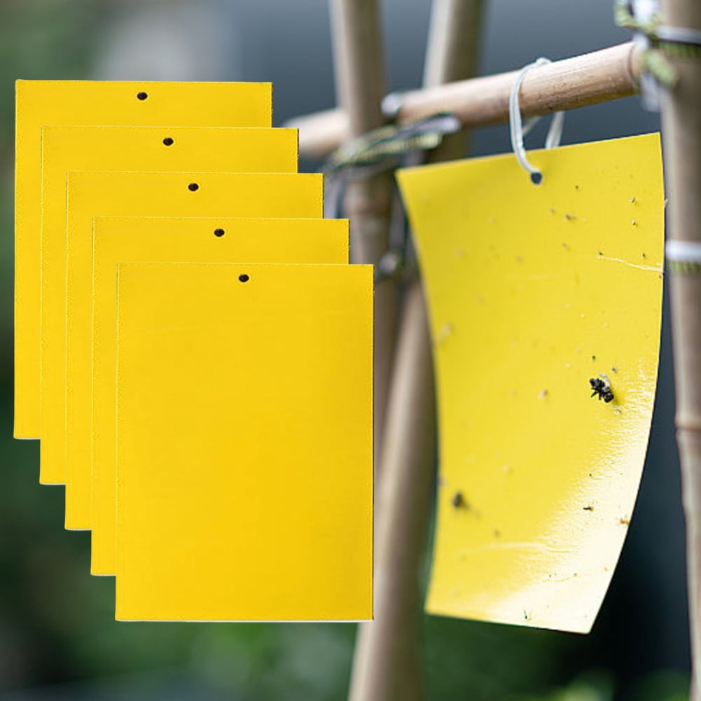 YiaNXan 100 Pack Dual-Sided Yellow Sticky Traps, 5.9" x 7.87" Fruit Fly Traps Fungus Gnat Traps for Indoor Outdoor Use Protect The Plant