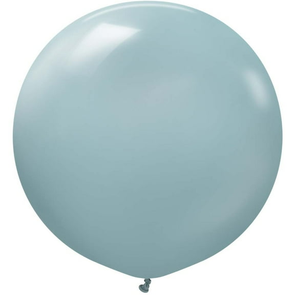 24 inch Kalisan Retro Storm Latex Balloons (2 Pack) - Party Supplies Decorations