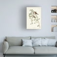 thumbnail image 3 of John James Audubon 'Lesser Red Poll' Canvas Art, 3 of 3
