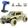 Rainbrace Off Road Rc Racing Cars Toys For 615 Years Old Boys Kids, 4Wd Rc Cars 4X4 Rc Truck Monster Vehicle Remote Control Car High Speed Rc Crawler Cars (Random Colors)