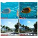 thumbnail image 2 of Injueey Cubierta de lente Equipo de protección Filtro de primer plano Aleación de aluminio Impermeable Buceo Protección de surf Cámara de Estabilizadores de cámara, 2 of 6
