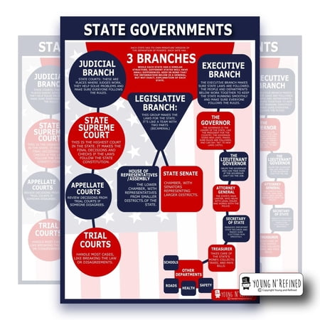 Learning State Government chart LAMINATED poster for classroom clear teaching tool for schools Young N Refined (18x24)