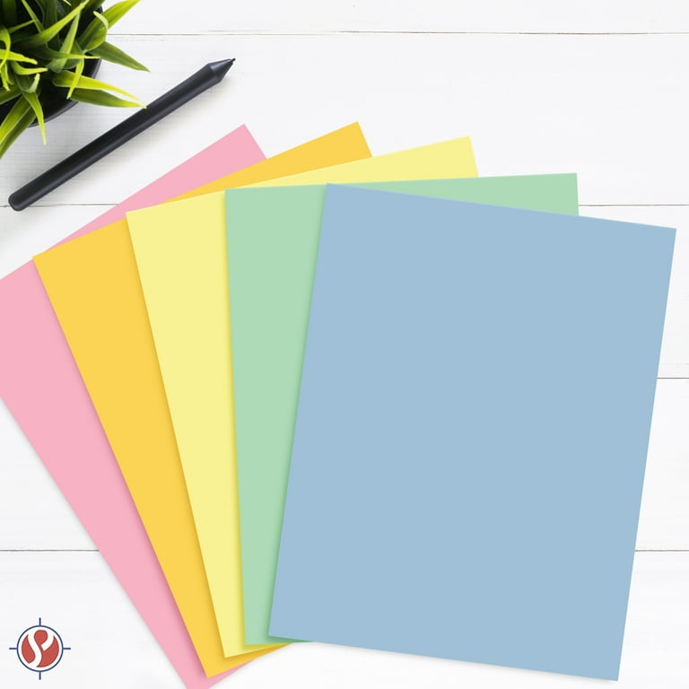 Pastel Color Paper 5 Assortment Colors Of 80 Each/Pink, Green, Goldenrod, Blue, Canary/20 Lb, 400 Sheets Per Pack (8.5 X 11 Inch