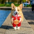thumbnail image 3 of Gustave Dog Basketball Costume Funny Pet Halloween Costumes Dress Up Sports Outfit Basketball Player Cosplay Clothes with Ball for Small Medium Dogs Cats - Red, S, 3 of 8