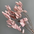 thumbnail image 2 of Decorative Dried Leafy Branches for Modern Home Decoration and Floral Arrangements, 15.5 Inches - Mauve Pink, 2 of 3