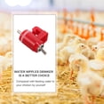 thumbnail image 4 of LOLIPPYY 10Ud Tetinas Para Bebedero De Pollos Rojas Para Granjas Y Hogar, 4 of 6