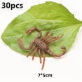 thumbnail image 1 of Fake Ants Simulated Insect Prank Toy Ants Spider Cockroach Fly Toy Figure For Kids heqiyong LED, 1 of 2