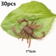 thumbnail image 1 of Fake Ants Simulated Insect Prank Toy Ants Spider Cockroach Fly Toy Figure For Kids heqiyong toy, 1 of 2