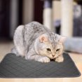 thumbnail image 1 of FOMIYES Alfombrilla Para Entrenamiento Y Lavable Con Antideslizante Y Material, 1 of 8