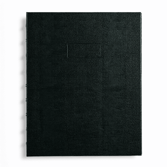 Blueline NotePro Notebook, 1-Subject, Narrow Rule, Black Hard Cover, 75 Sheets, 9.25 x 7.25 in
