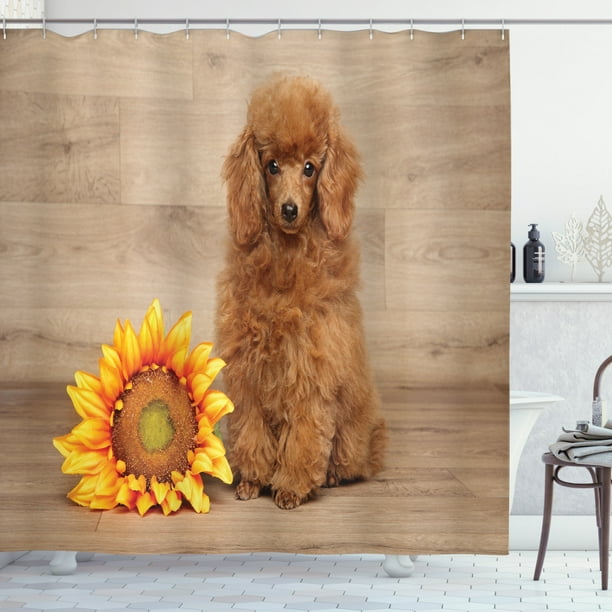 Poodle Shower Curtain Sunflower And Dog On A Wooden Background Fabric Bathroom Set With Hooks 69w X 70l Inches Pale Caramel Dark Orange Earth Yellow Sand Br By Ambesonne Com Poodle Shower Curtain Sunflower And, Poodle Shower Curtain Hooks