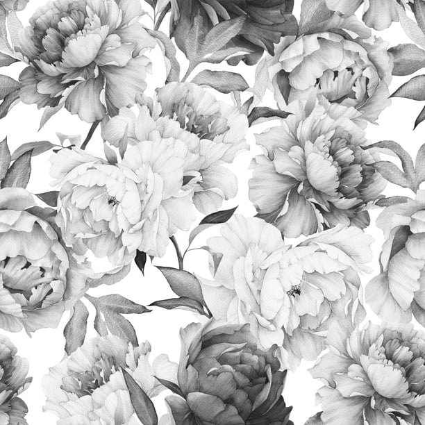 top 94+ Pictures black and white peony wallpaper Completed