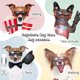 thumbnail image 4 of Dog Goggles Dog Sunglasses Adjustable Strap for Uv Sunglasses Waterproof Protection for Dog, 4 of 5
