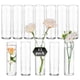 thumbnail image 1 of Vase Glasseam, cilindro de vidrio transparente de 15 cm, juego de 12 unidades, para centro de mesa, 1 of 7