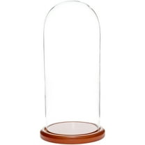 Plymor 5.5" x 13" Glass Display Dome Cloche (Walnut MDF Base)