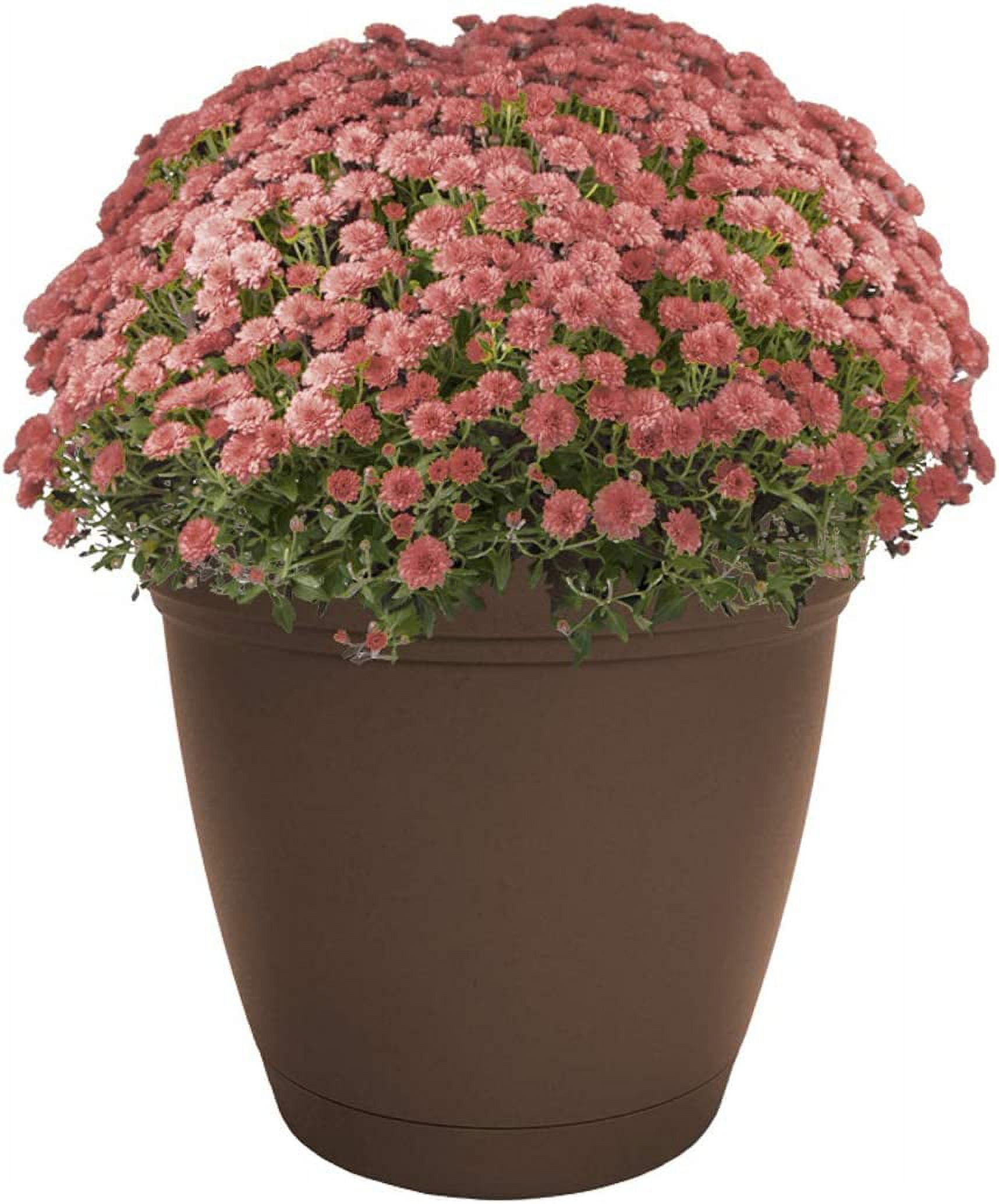 HC Companies Eclipse 20" Round Chocolate Planter w/Attached Saucer