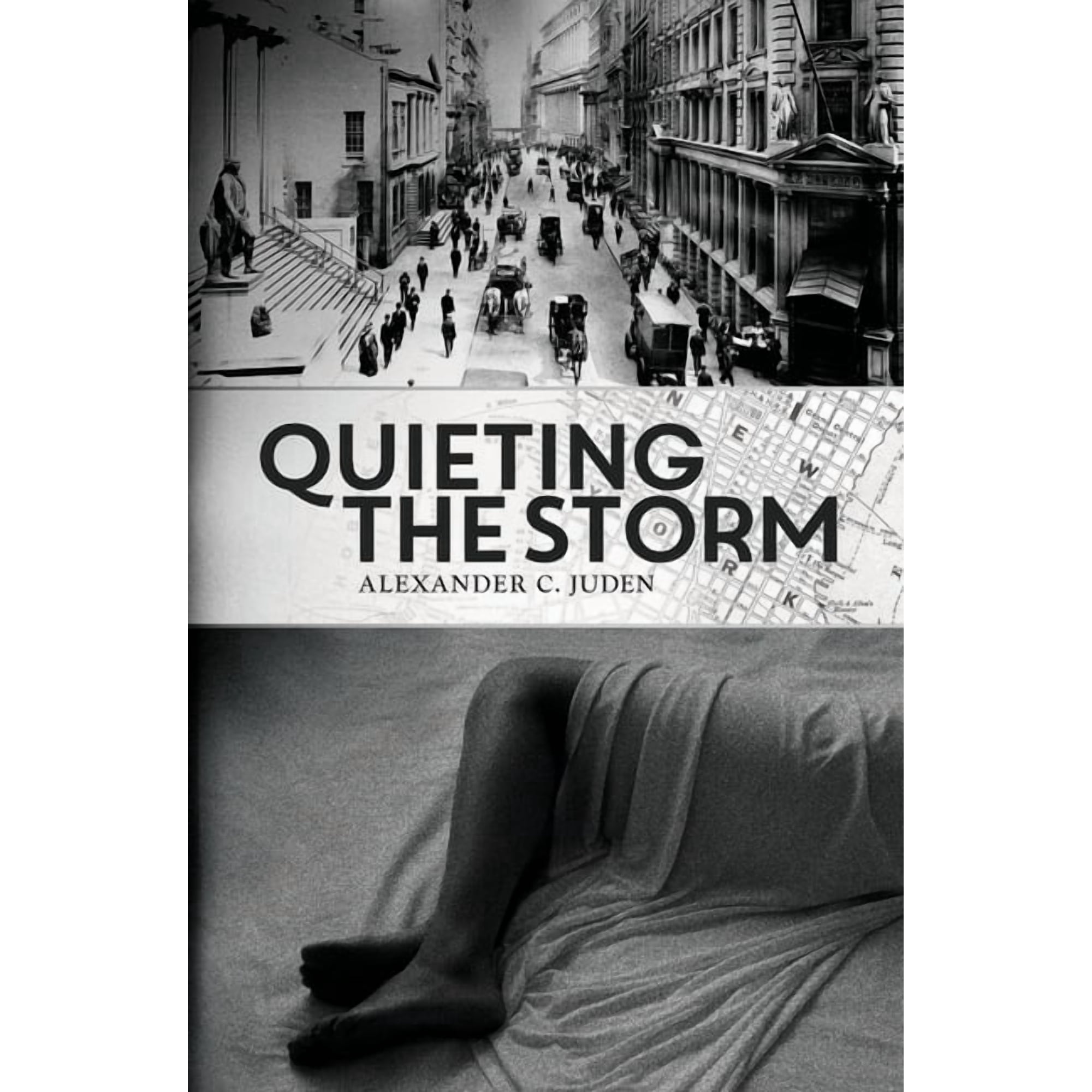 Quieting the Storm (Paperback)