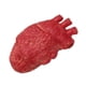 thumbnail image 5 of Tholdsy Halloween Horror Bloody Heart Props Fake April Anti Simulation Decor Stress Day Toy Ball Human Fool's Body Supplies Squeezing 18x10cm 2piezas Tholdsy CBP587181, 5 of 5