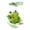 A, variant on Cute Animal Rocking Chair Figurine With Umbrella Frog Or Panda Desk Decor For Home Shelf And Bedroom