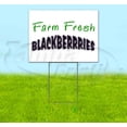 thumbnail image 1 of Farm Fresh Blackberries (18" x 24") Yard Sign, Includes Metal Step Stake, 1 of 6