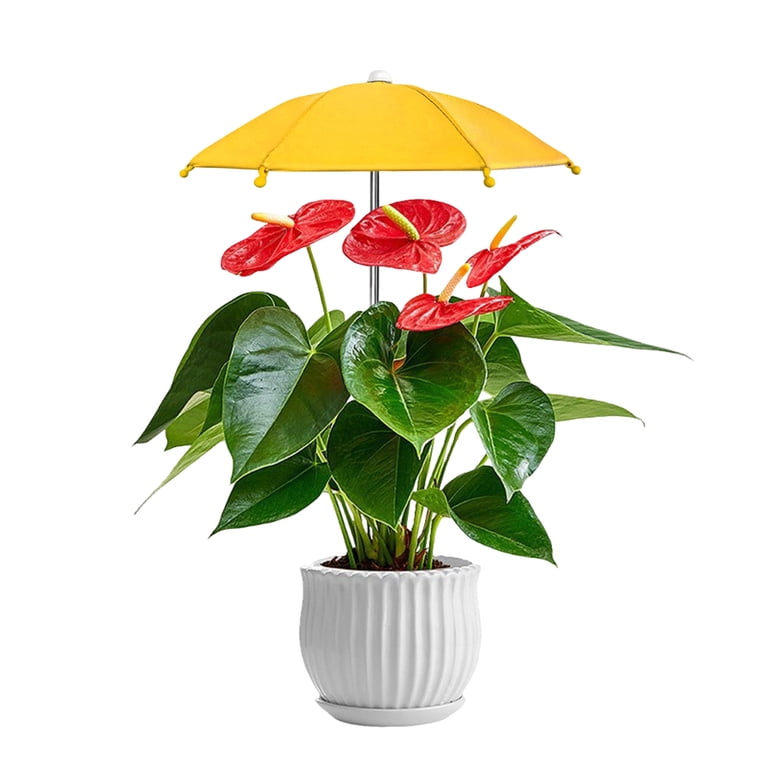 floral outdoor patio umbrellas Jazz Age Wooden Umbrella Gold Tassel Fringe 6ft Tilt JZ6-01 lasting durability against corrosion 9' Primro Orange and Red