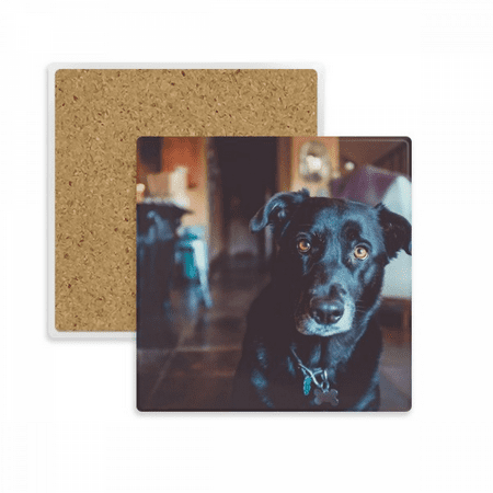

Black Dog Pet Animal Picture Square Coaster Cup Mat Mug Subplate Holder Insulation Stone