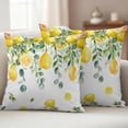 thumbnail image 2 of Lemon Eucalyptus Outdoor Pillow Covers 26x26 Set of 2,Waterproof Patio Throw Pillowcase Protectors,Farm Flower Fruit Country Boho Summer Decorative Pillow Shams Cushion Covers for Seat Bed Couch Sofa, 2 of 8