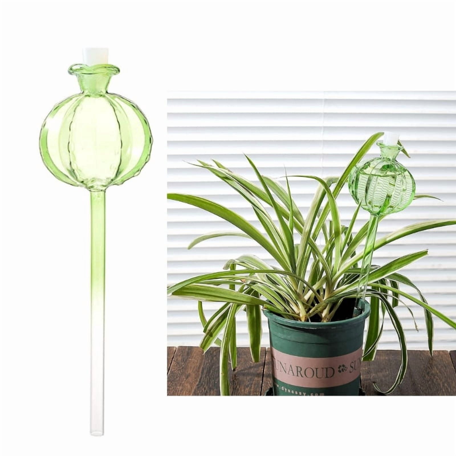 Zecic 3xPlant Self Watering Ball Water Bulbs Drip Irrigation System for Indoor Potted