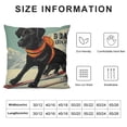 thumbnail image 5 of Shangniulu Throw Pillow Covers 18 x 18 Inch Black Dog Ski Company Short Plush Pillowcase Home Decor Cushion Cases, 5 of 5