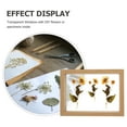 thumbnail image 2 of Glass Display Frame Wooden Frame Specimen Double-sided Glass Frame Picture Frame, 2 of 9