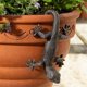 thumbnail image 2 of Potted Bronze Gecko Plant Holder by Janshore - Decorative Suspension Flower Pot for Unique Home & Garden Decor, 2 of 5
