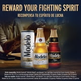 Modelo Especial, Mexican Lager, 24 pack, 7 fl oz Mini Bottles - Walmart.com