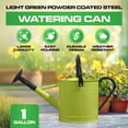 thumbnail image 7 of Plexon 1 Gallon Metal Watering Can Outdoor, Flower Plant Gardening Garden Large Green Watering Can Pot, Galvanized Steel Handles - Removable Spray Spout, Green, 7 of 7