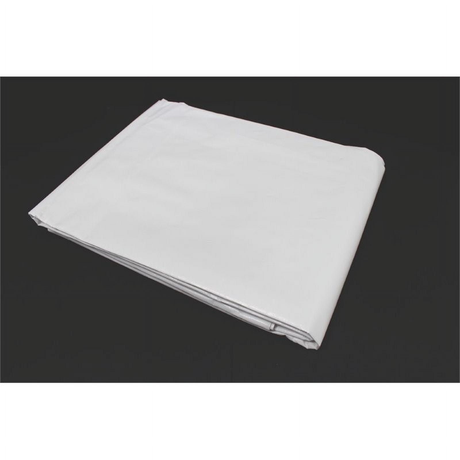 King Canopy White Heavy Duty Tarp 20X20