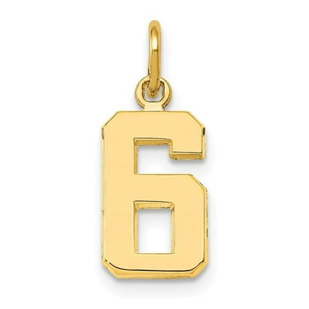 FJC Finejewelers 14k Yellow Gold Casted Small Polished Number 6 Charm