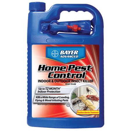 Walmart pest control Our pest control services in Bentonville help eliminate creepy crawlers like ants, spiders, and roaches fast, so you can enjoy a pest-free home once again.